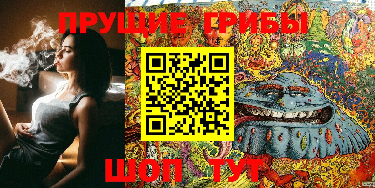 Долгопрудный  Галлюциногенные грибы Psilocybine cubensis  Вход с VPN  Псилоцибиновые грибы GOLDEN TEACHER 