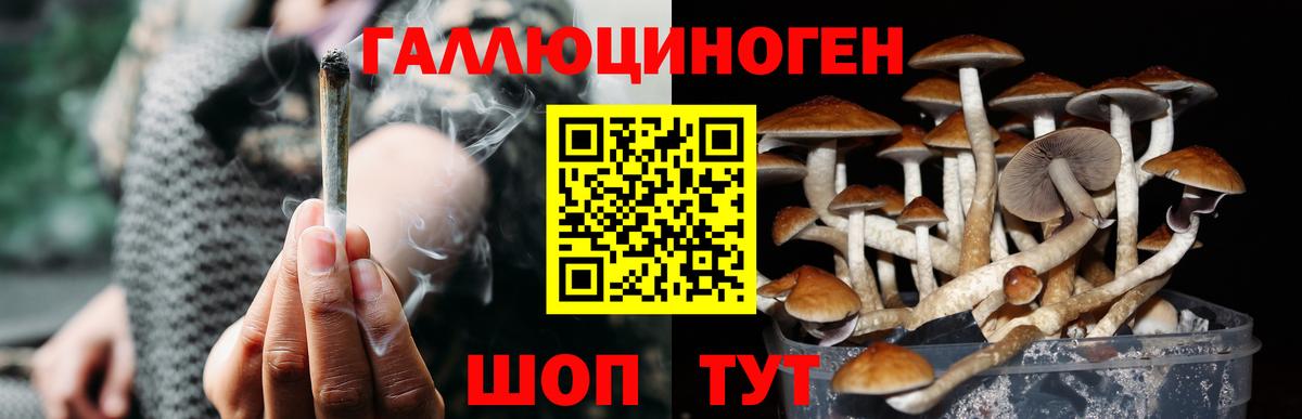 Долгопрудный  Бошки Шишки  Метадон  Вход с VPN  МЕФ   КОКАИН  АМФ кристаллы 